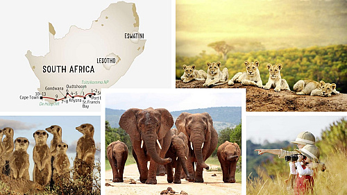 Family Safari & Fun