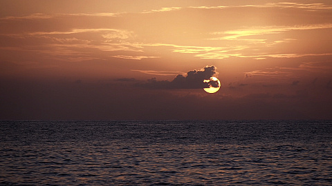 Lémuria, Praslin